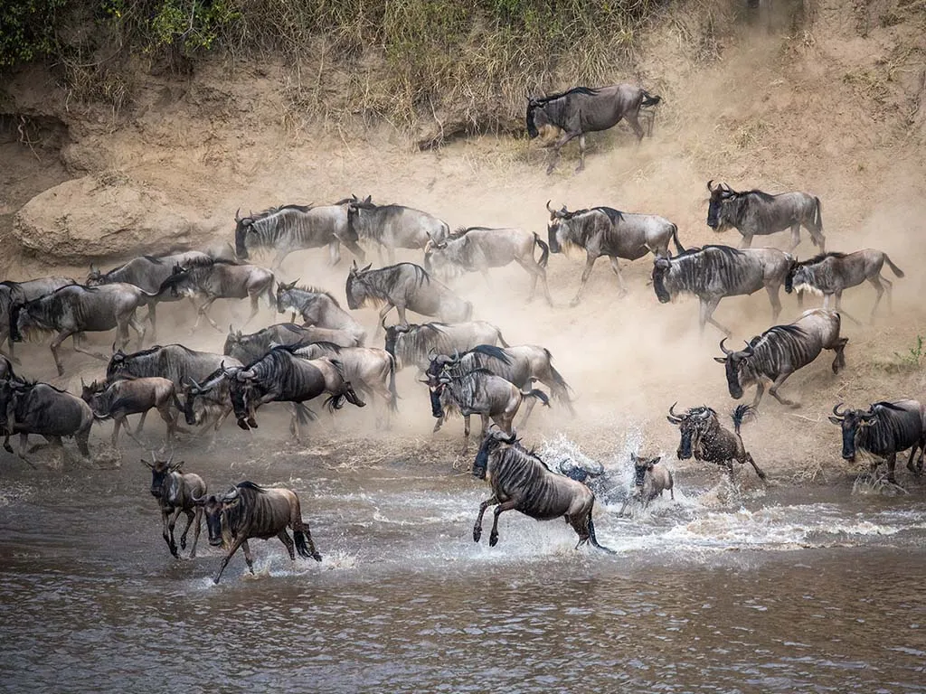 Serengeti National Park